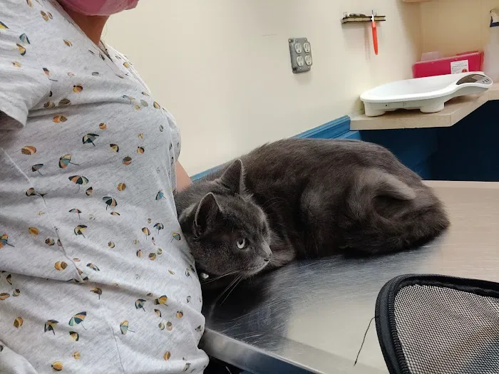 Florida Aid To Animals 1
