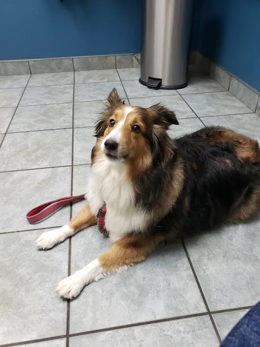 Florida Aid To Animals 5