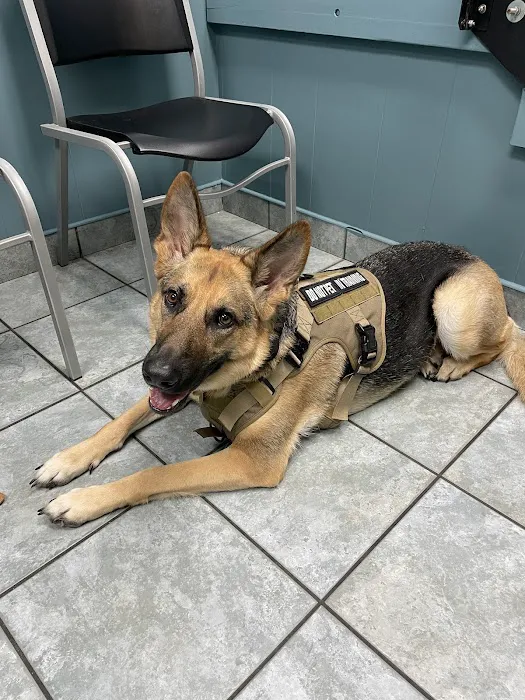 Florida Aid To Animals 7