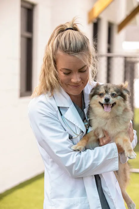 NewDay Veterinary Care 12