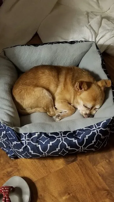 North Port Animal Hospital 4