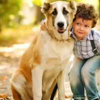 North Port Animal Hospital: Martellini John DVM ico