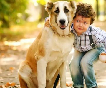 North Port Animal Hospital: Martellini John DVM