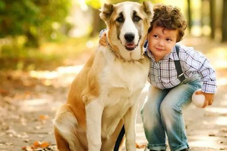 North Port Animal Hospital: Martellini John DVM