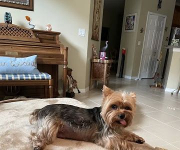 Heron Creek Animal Hospital