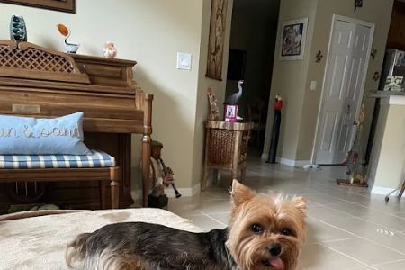 Heron Creek Animal Hospital