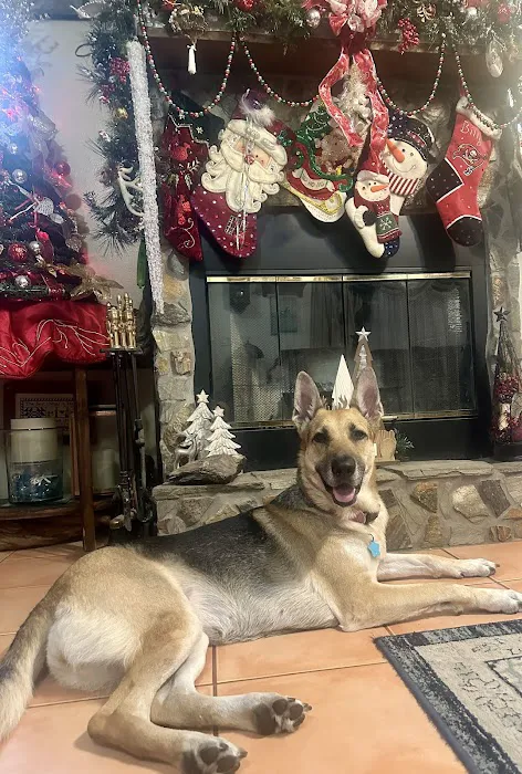 Heron Creek Animal Hospital 10