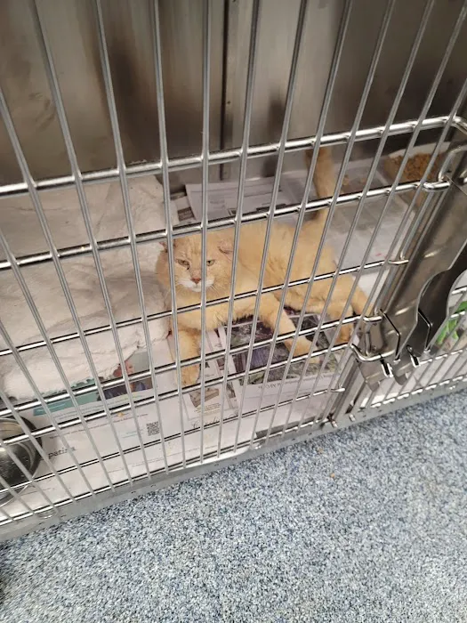 Charlotte-Mecklenburg Animal Services Clinic 12