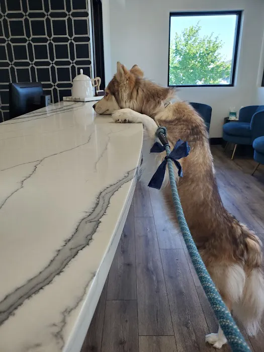 Brookdale Animal Hospital 7