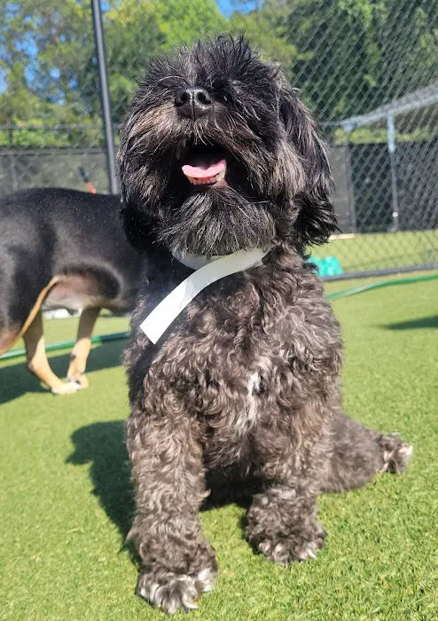 Banfield Pet Hospital 1