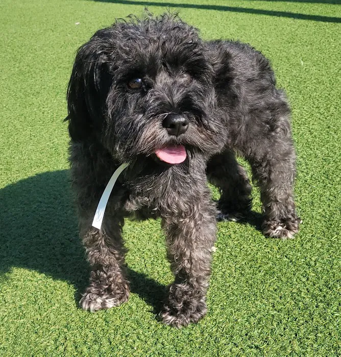 Banfield Pet Hospital 5