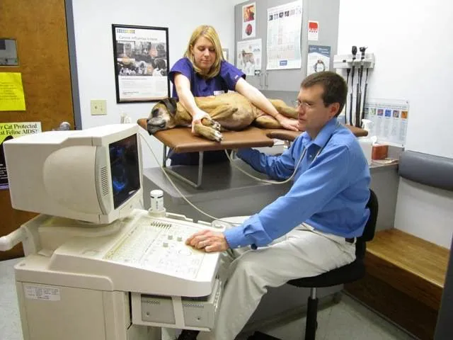 Hight Veterinary Hospital 2