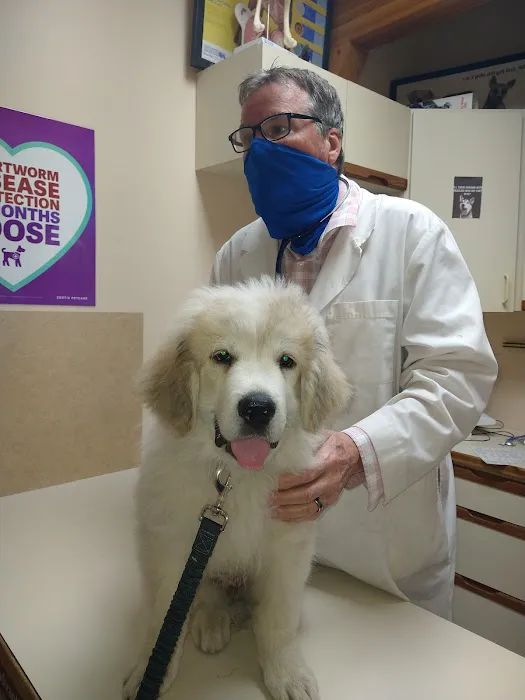 Brooks Animal Clinic 4