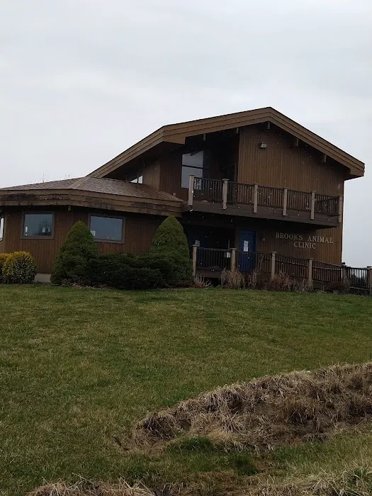 Brooks Animal Clinic 5
