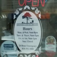 Greenwood Veterinary Associates PC ico