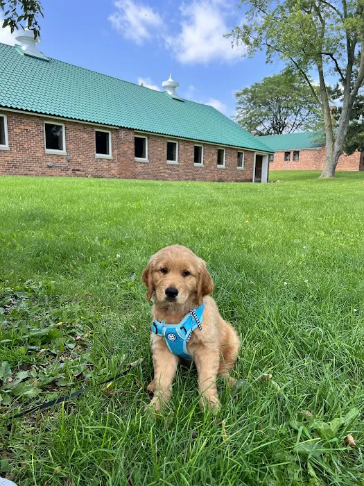 Stony Creek Veterinary Hospital 2