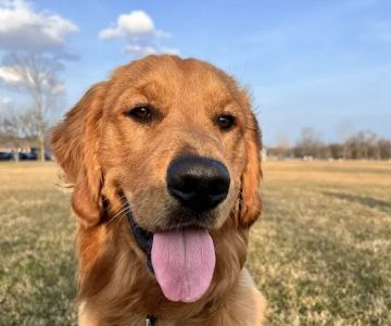 Stony Creek Veterinary Hospital