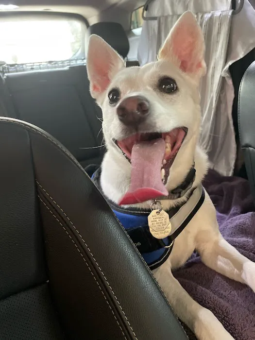 Animal Emergency Center - Rochester 2