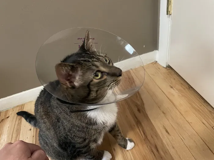 Animal Emergency Center - Rochester 1