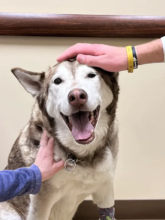 Animal Emergency Center - Rochester 4