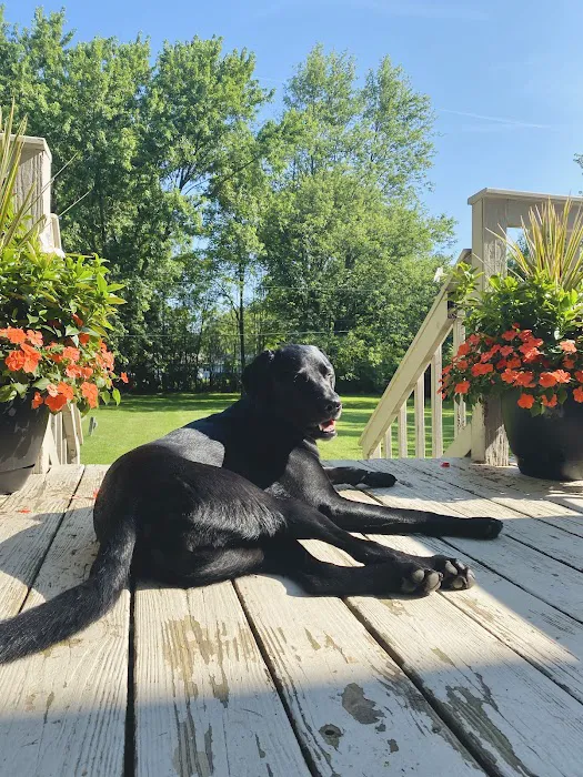 Animal Emergency Center - Rochester 8