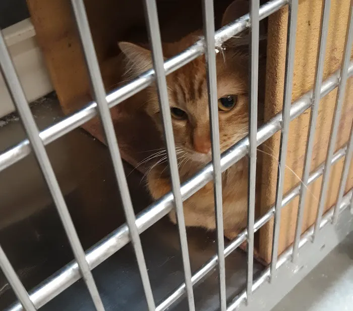 Banfield Pet Hospital 3