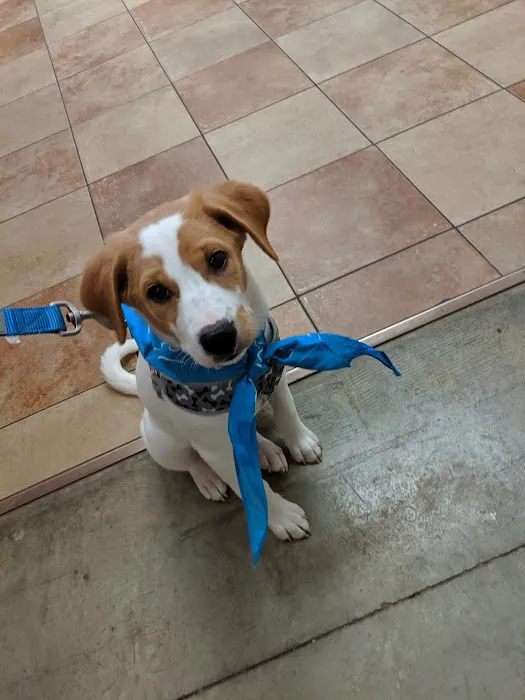 Banfield Pet Hospital 7