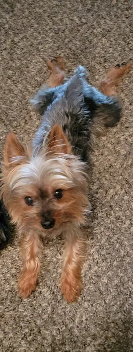 Banfield Pet Hospital 9