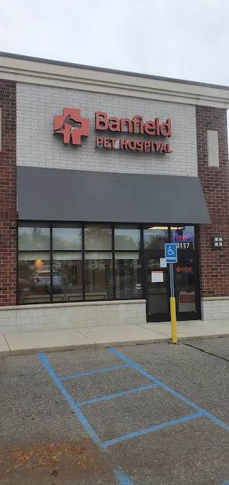 Banfield Pet Hospital 10