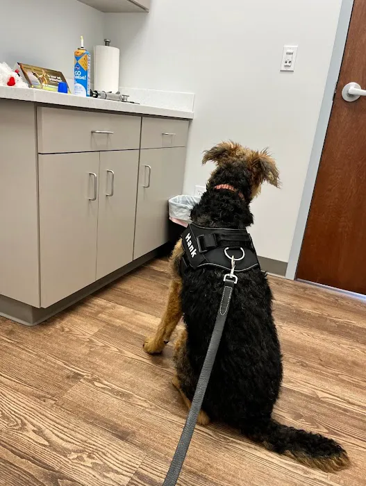 Faithful Friends Veterinary Care 9