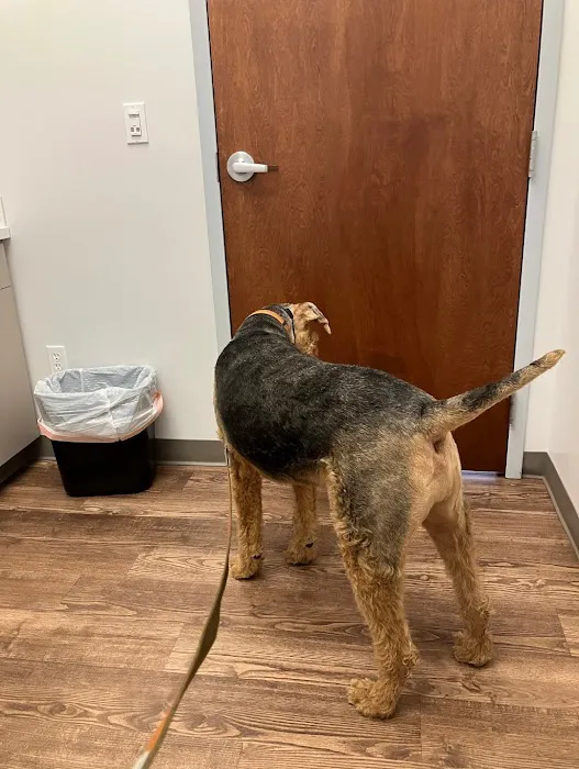 Faithful Friends Veterinary Care 5