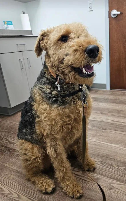 Faithful Friends Veterinary Care 10