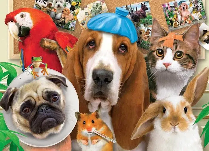 Harvey Animal Hospital 1