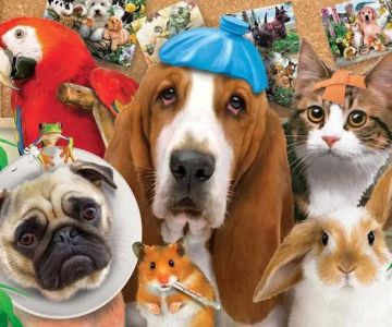 Harvey Animal Hospital