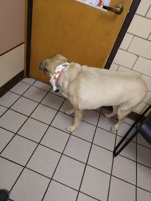 Harvey Animal Hospital 3