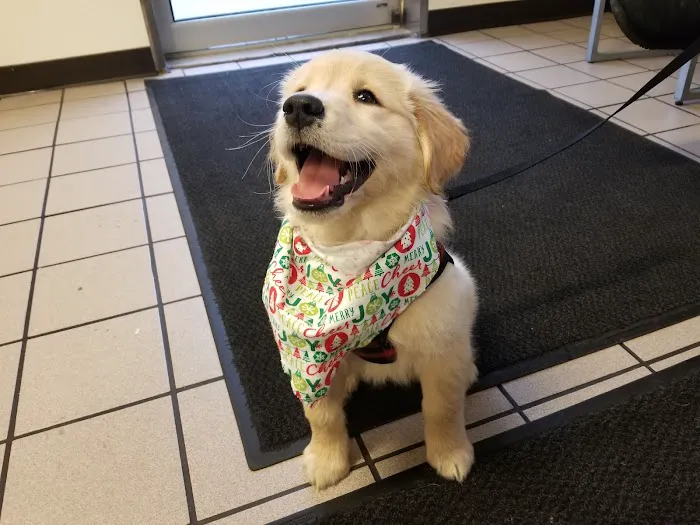 Harvey Animal Hospital 8