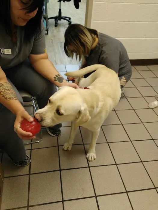 Harvey Animal Hospital 10