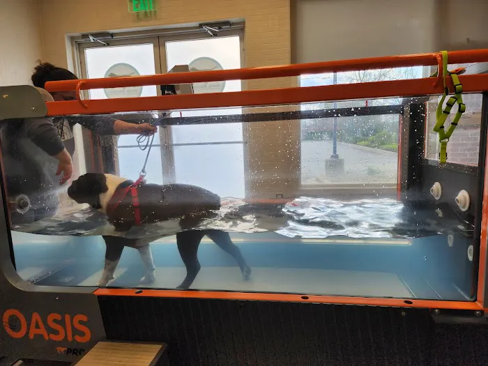 North Macomb Canine Rehabilitation & Conditioning 3