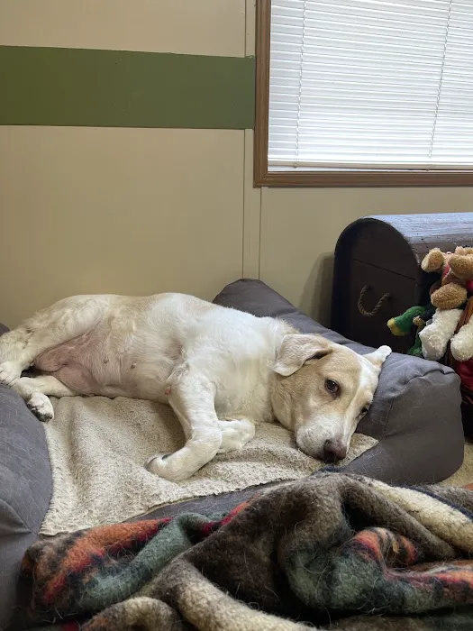 Wilson Veterinary Hospital 12