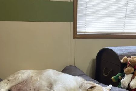 Wilson Veterinary Hospital