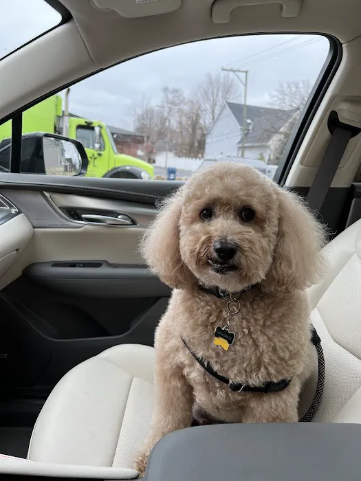 Animal Medical Center of Troy 1