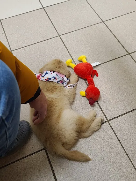 Animal Medical Center of Troy 4