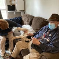 Bayne Mobile Veterinary Services ico