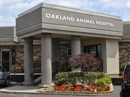 Oakland Animal Hospital 2