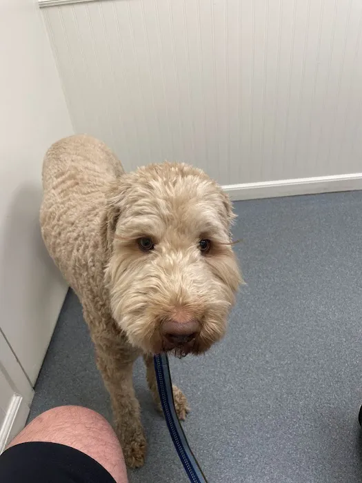 Oakland Animal Hospital 4
