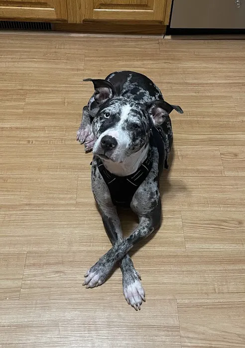 Oakland Animal Hospital 5