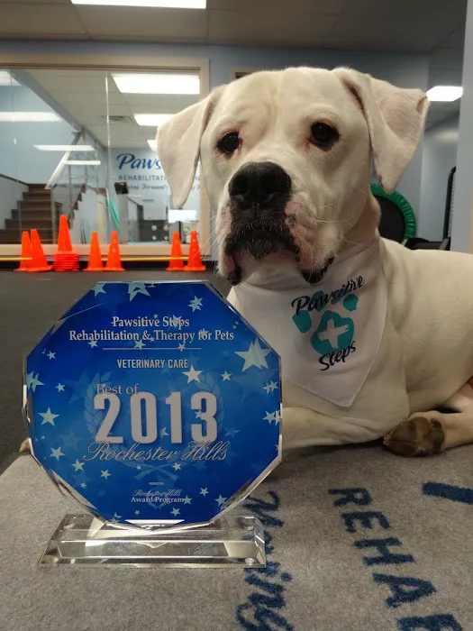 Pawsitive Steps Rehabilitation & Sports Medicine 2