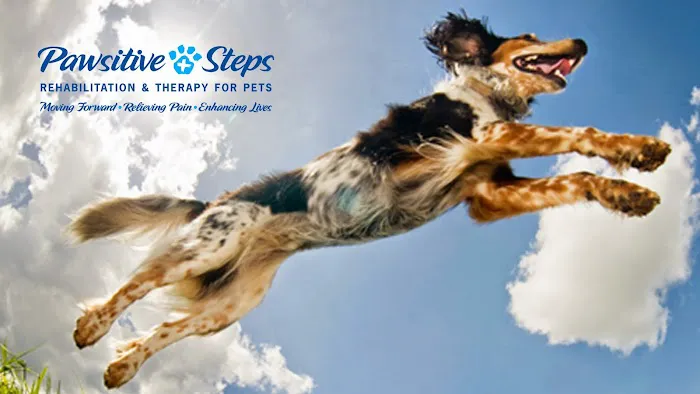 Pawsitive Steps Rehabilitation & Sports Medicine 1
