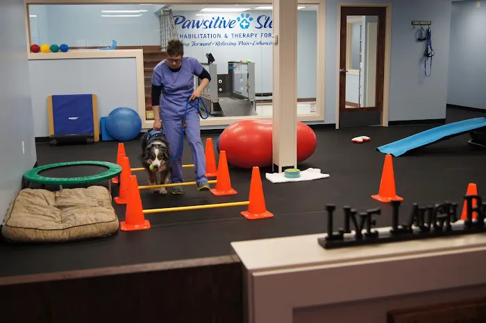 Pawsitive Steps Rehabilitation & Sports Medicine 5