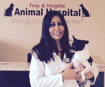 Troy & Heights Animal Hospital
